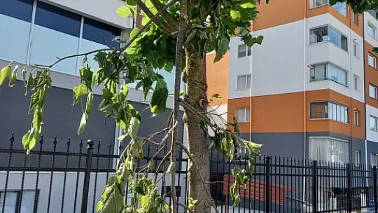 Belediyeden çevre uyarısı!