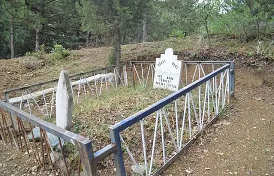 Türbedeki Çınar Ağacının sırrı