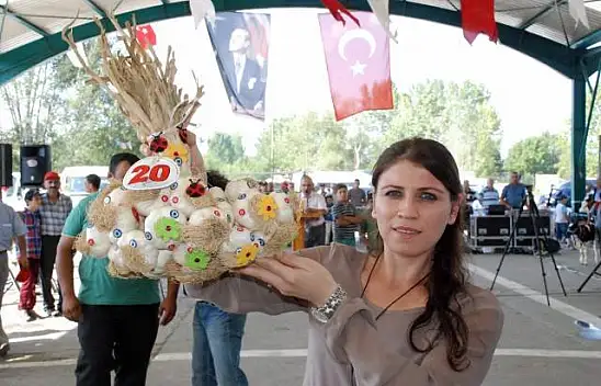 Taşköprü Pompeiopolis Tarım, Hayvancılık Fuarı