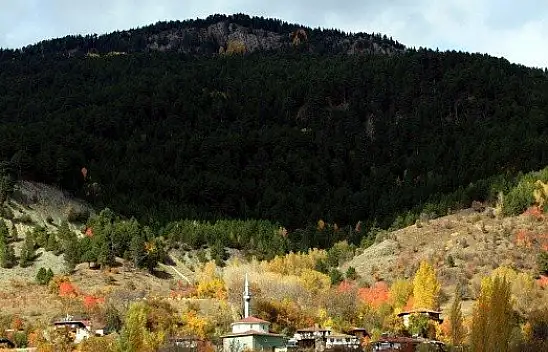 Anadolu'nun &quotYüce Dağı" Ilgaz rengarenk