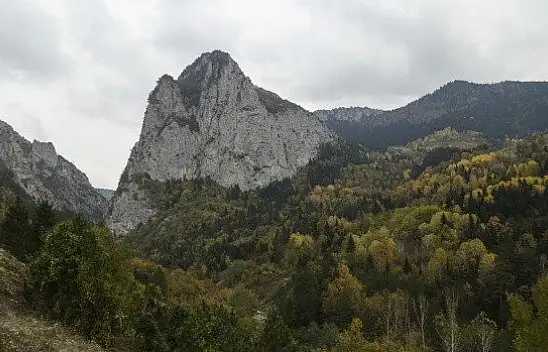 Küre Dağlarında sonbahar renklerinin görsel şöleni