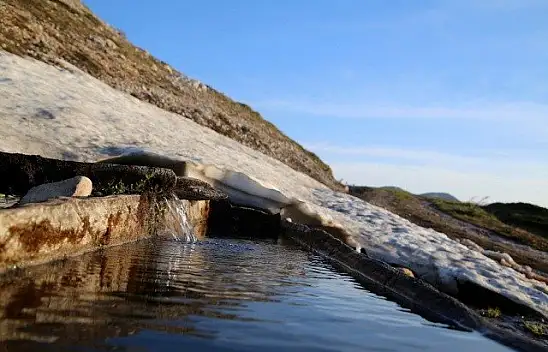 Ilgaz Dağı'nın zirvesinde çiçekler yeni açıyor