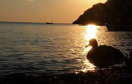 Batı Karadeniz'in cezbeden koyu: Gideros