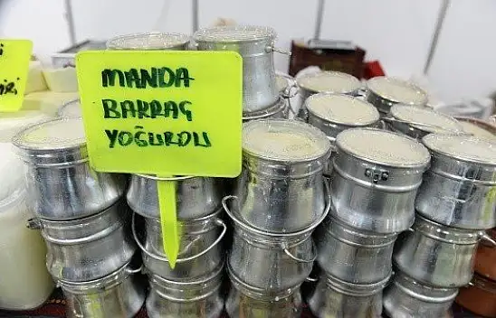 Kastamonu Günleri başladı