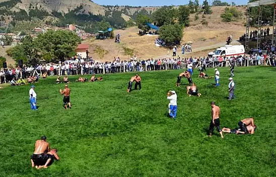 Tosya Yağlı Güreşleri