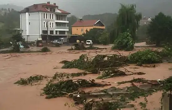 Cide'de sel felaketi