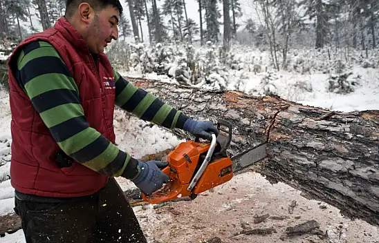 Zorlu şartlarda ekmeklerini ormandan çıkarıyorlar