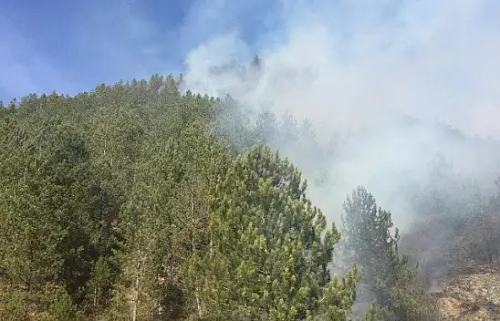 2 farklı noktada çıkan örtü yangını kontrol altına alındı