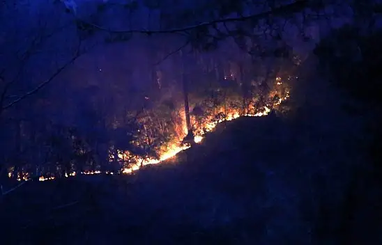 Abana'da orman yangını mahalleye sıçradı