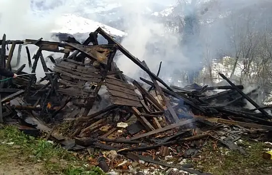 Ahşap ev yandı, 4 büyükbaş hayvan telef oldu