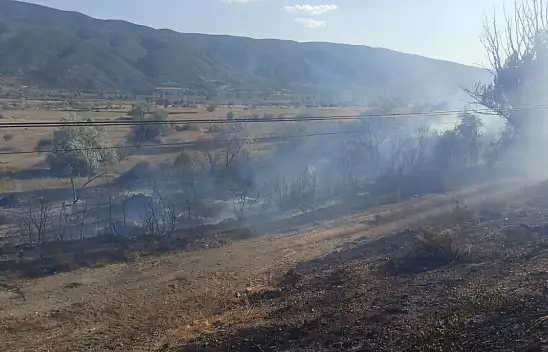 Anız yangını! Söndürülmeye çalışılıyor
