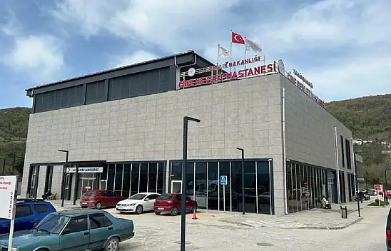 Anne ve kızı ölümden döndü