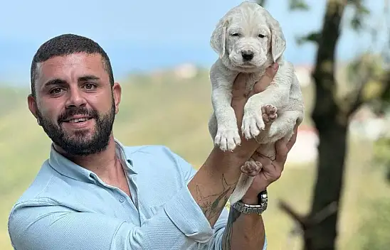 Azdavay Belediye Başkanı'nın yeğen acısı!