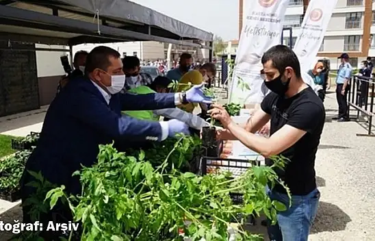 Belediye 60 bin fide dağıtacak