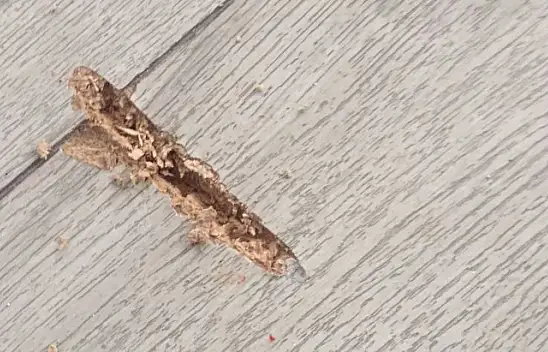 Belediye başkanına silahlı saldırı