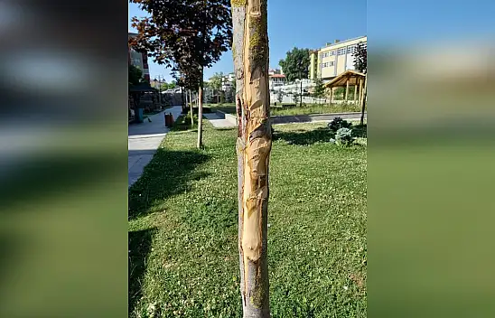 Belediyeden çevre uyarısı!