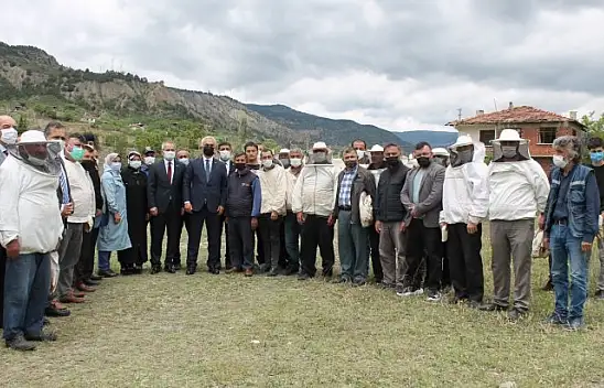 Bilinçli arıcılar Tosya'da yetişecek