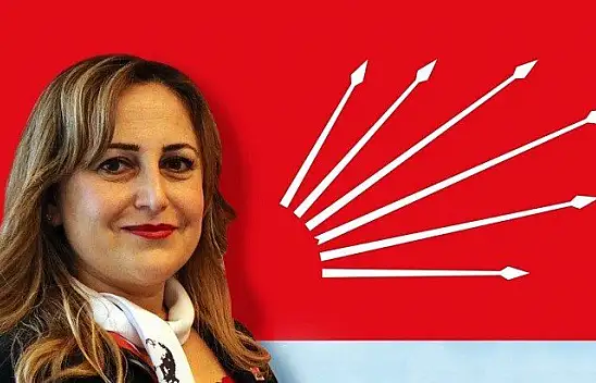 CHP'li Kurt, hükümeti eleştirdi
