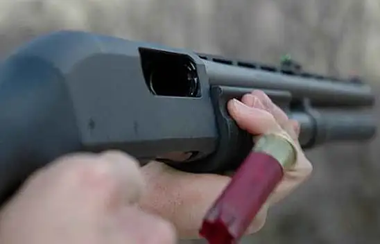 Cide'de 2 köpek tüfekle vuruldu