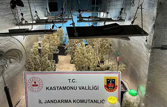 Çiftlik evleri kenevir serası olmuş! 4 gözaltı