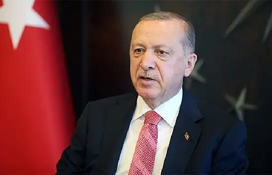 Erdoğan, Nijerya'da saldırıya uğrayan geminin kaptanı ile görüştü