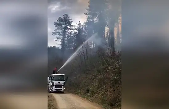 Doğanyurt'ta orman yangını