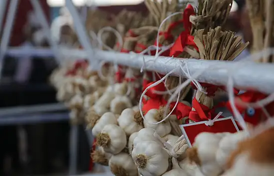 En iyi sarımsak üreticisi belirlendi