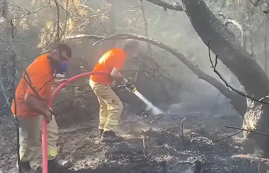 Eymir köyünde orman yangını!