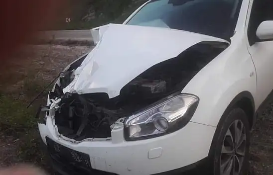 Aracın çarptığı inek telef oldu