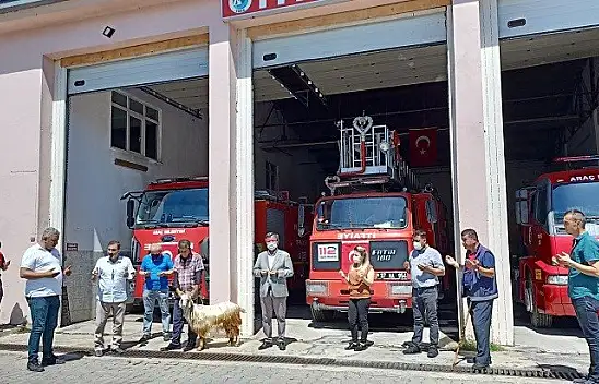 Hizmet araçları için kurban kesildi