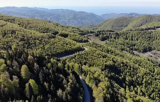 İki ilde ormanlık alanda mangal yapılması yasaklandı