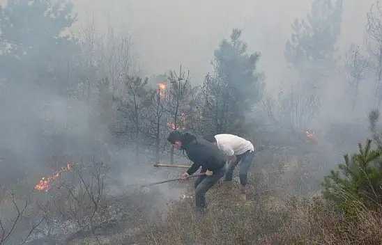 İnebolu'da orman yangınına müdahale ediliyor