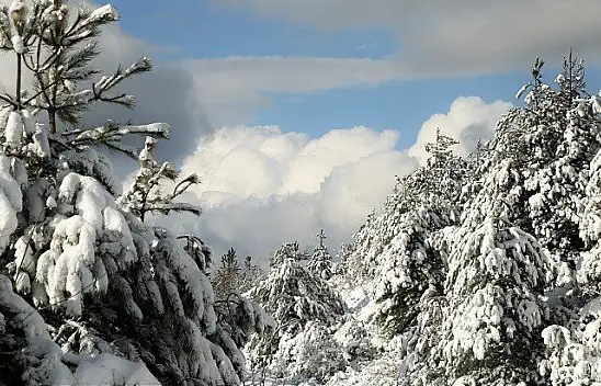 Kastamonu'da 392 köy yolu ulaşıma kapalı