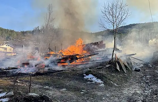 Kastamonu'da çıkan yangın 10 eve sıçradı!