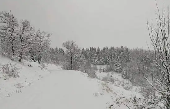 Kastamonu'da köylerin yarısının yolu kapalı