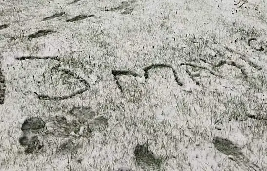 Mayıs ayında kar yağdı