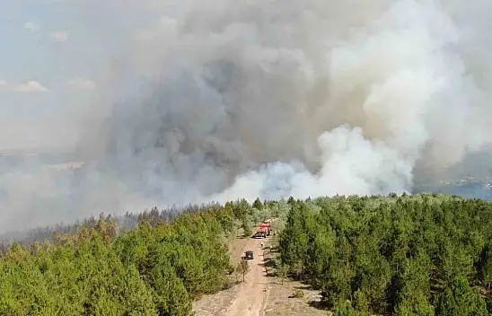Kastamonu'da orman yangını! Müdahale sürüyor