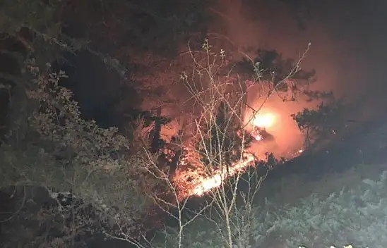 Kastamonu'daki orman yangını yerleşim yerlerini tehdit ediyor