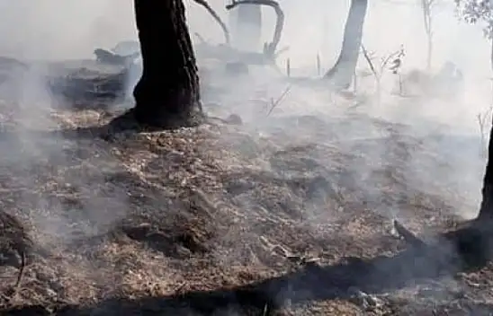Kastamonu'daki orman yangınları kontrol altına alındı