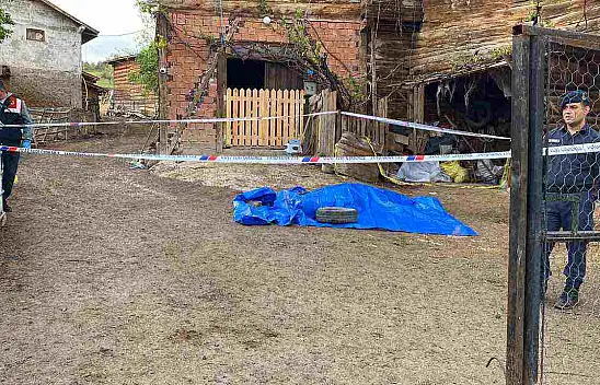 Muhtar cinayetinin şüphelisi yakalandı