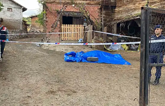 Cinayet sebebi belli oldu