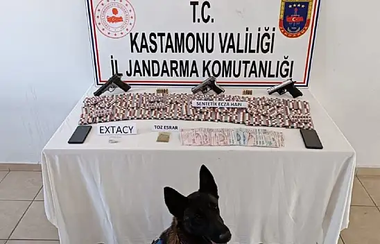 Tosya'da 2 şüpheli gözaltına alındı