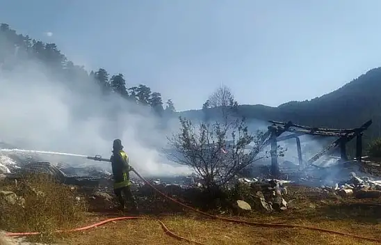 Tosya'daki yangında 2 yayla evi yandı