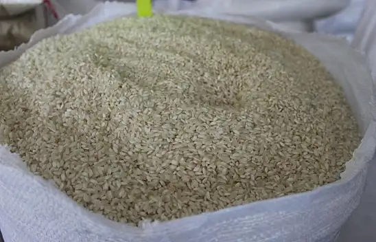 Tosya'da yeni sezon pirinci satışa sunuldu