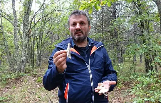 'Yanlış bilgiler mantar zehirlenmesine sebep oluyor'