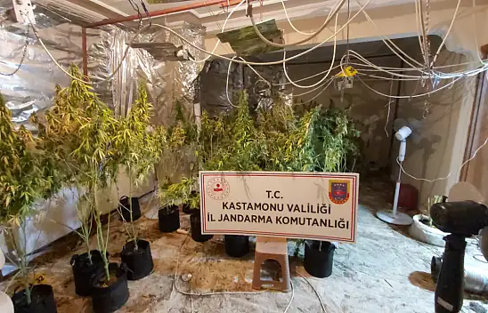 Villada uyuşturucu serası! 3 gözaltı