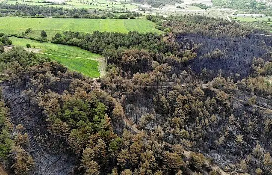 Yangında zarar gören bölge havadan görüntülendi