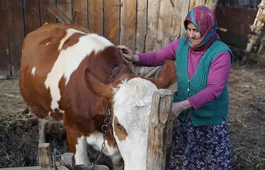 'Yangında başıma tülbent bile alamadım'
