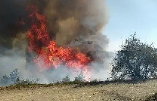 Daday'da 1 hektarlık ormanlık alan yangında zarar gördü