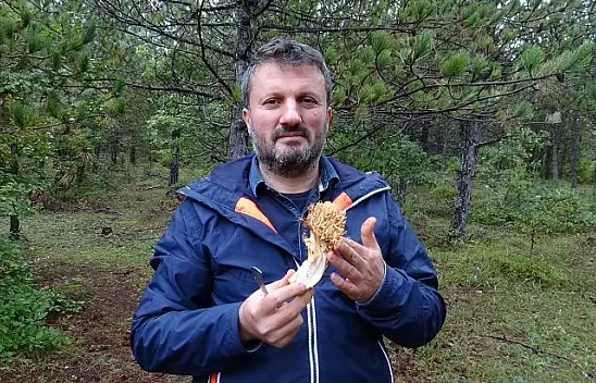 Uzmanından uyarı! Mantarda doğru sanılan yanlışlar